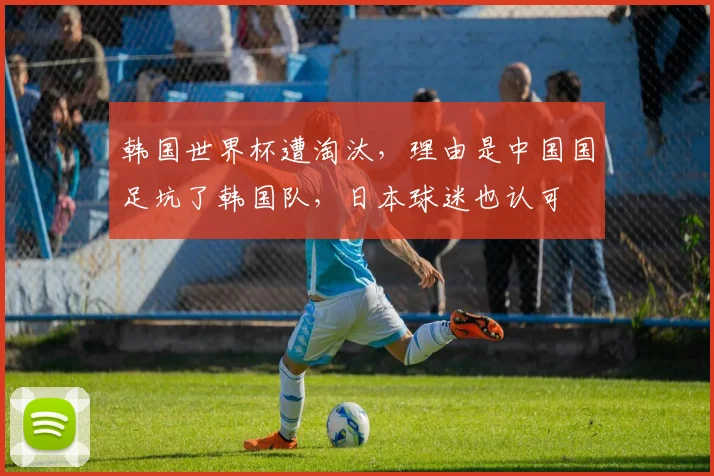 韩国世界杯遭淘汰，理由是中国国足坑了韩国队，日本球迷也认可