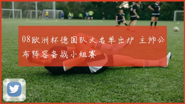 08欧洲杯德国队大名单出炉 主帅公布阵容备战小组赛