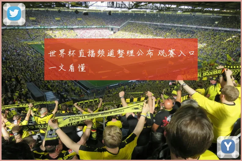 世界杯直播频道整理公布 观赛入口一文看懂