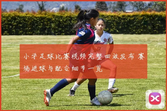 小学足球比赛视频完整回放发布 赛场进球与配合细节一览